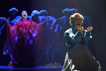 [영상] 뮤지컬 '미세스 다웃파이어' 무대 오른 정상훈