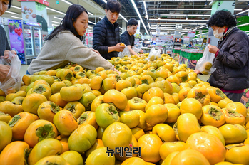 [포토] 농협유통 하나로마트 "제철 단감 드시고 건강 챙기세요"