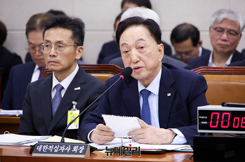 [포토] 답변하는 김철수 대한적십자사 회장 