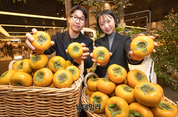 [포토] 현대백화점 "달콤한 '상서단감' 맛보세요"