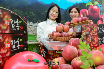 [포토] 농협유통 하나로마트 "올해 첫 판매하는 '감홍 사과' 맛보세요"