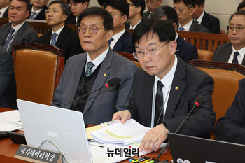 [포토] 국감서 질의에 답하는 안형준 국가데이터처 처장