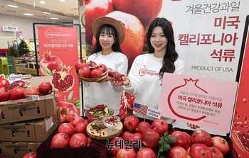 [포토] '과일의 붉은 보석' 캘리포니아 석류 출시