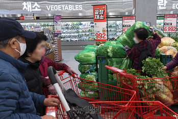 [포토] 분비는 김장재료 매대