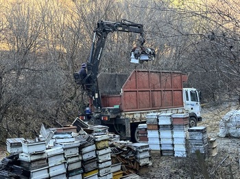 양구군, '폐양봉자재 수거·처리 지원사업' 추진