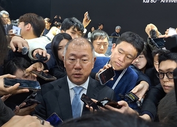 정의선 회장 "현대차, 테슬라와 자율주행 격차 있지만 중요한 건 안전"
