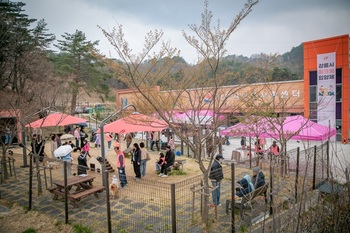 강릉시, 2025년 유기동물 입양률 61% 달성 ··· 도내 1위