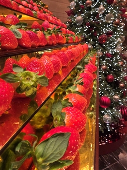 [깐깐한리뷰] "딸기계단부터 양갈비까지" 5살 아이 눈도 입도 번쩍 롯데호텔 딸기뷔페