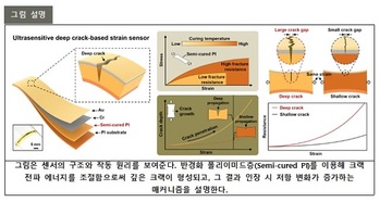 포스텍, 숨결까지 읽는 센서 몸의 미세 신호 포착