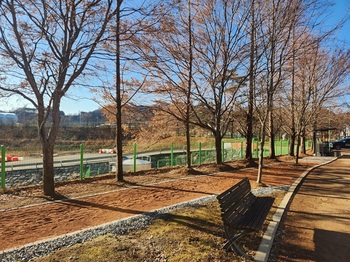 영월군, 스포츠파크 맨발걷기 길 조성사업 준공