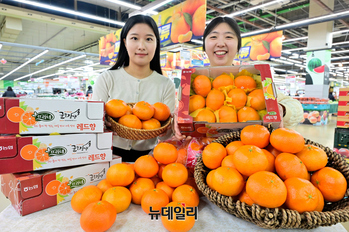 [포토] 농협유통 하나로마트 "올해 첫 판매하는 '레드향' 맛보세요"