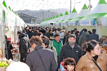산청군, 제19회 지리산산청곶감축제 성료