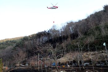 하동군, 산불 ‘사전 차단, 신속 대응’ 5대 전략 수립