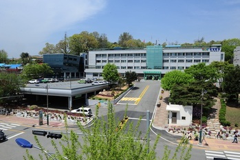 횡성군, 2026년 상반기 직접 일자리 76명 모집