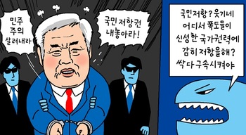 [윤서인의 뉴데툰] 국민저항권