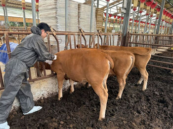강원도, '동물방역·동물보호·축산물위생'에 438억 투입