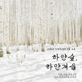 인제군, 겨울 체류형 관광상품 '하얀숲, 하얀겨울' 내달 28일까지 운영