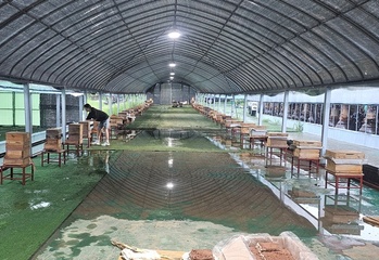 경기도, 토종 꿀 브랜드 고급화 집중 지원 나섰다