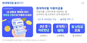 "이자 장사 막히자 플랫폼으로" … 캐피탈업계, 자동차 생태계로 방향 전환