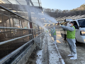 농협 강원본부, 동절기 가축질병 차단 방역 총력