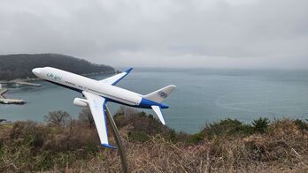 무안공항보다 246배 위험한 가덕도 … '조류와의 전쟁' 대안 없이 속도전