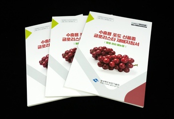경북농기원, ‘글로리스타’ 재배 지침서 발간…포도 수출 ‘신성장동력’ 확보