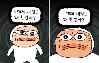 [윤서인의 뉴데툰] 도대체 왜?