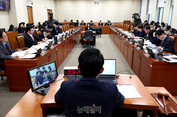 [포토] 대미투자특위 공청회