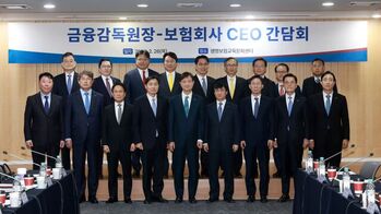 "과당경쟁 지양하라" … 금감원, 보험사 CEO 소집해 소비자보호 주문