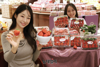 [포토] 신세계백화점 "딸기의 모든 것 만나보세요"
