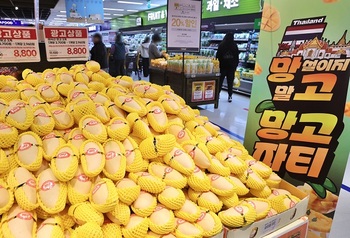 이마트, '망고 파티' 연다 … 250톤 물량 풀고 최대 20% 할인