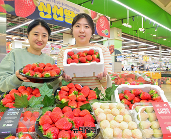 [포토] 농협 하나로마트, 새콤달콤한 '딸기' 부담 없이 즐기세요