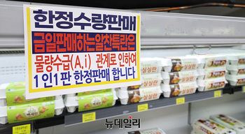 [포토] 1,000만 산란계 살처분...치솟는 달걀값
