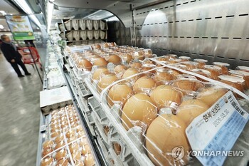 구멍 뚫린 방역에 '3대 가축질병' 창궐 … 밥상 물가 '폭탄' 됐다