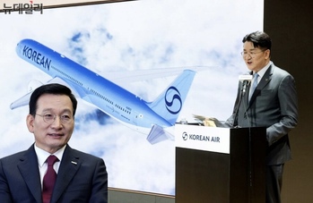 한진칼 경영권 위협하는 호반 … 시장 반응은 뜨거운데 실현 가능할까