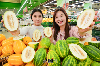 [포토] 농협유통 하나로마트 "'파파야 멜론'으로 건강 챙기세요"