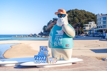 양양군, 자체 개발 디저트 '양양한입' 인기 ··· 누적 매출 1억7000만 원 기록