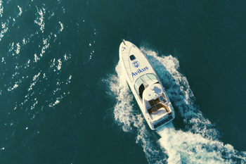 "복잡한 바닷길도 알아서 척척" HD현대, AI 자율운항으로 해상사고 줄인다