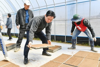 화천군, 취약 농업인 모내기 위한 육묘은행 사업 추진