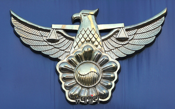 '1300억대 잔고 부풀리기' 의사 215명 무더기로 입건