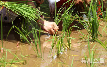 호르무즈 봉쇄에 막힌 비료 수급 … 밀부터 채소까지 장바구니 물가 '긴장'