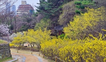 대전시 ‘고용 둔화’ 정면 돌파…3263억 투입 4.6만개 일자리 승부수