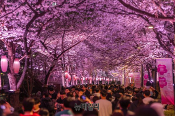 [포토] 봄 빛깔로 물들이는 '2026 스프링 인 잠실' 12일까지 진행