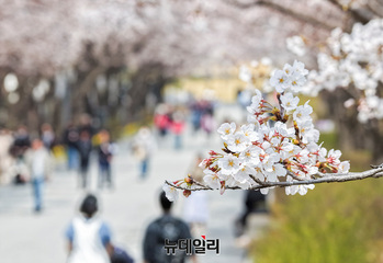 [포토] '봄이 왔어요'