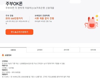 '고금리 소액대출'로 덩치 키운 OK금융 … 계열사 간 리스크 전이 '경고등'