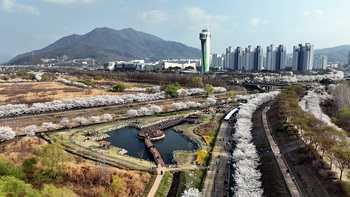하남 당정뜰 ‘봄봄’ 축제에 홀린 주말