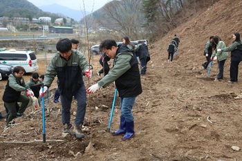 [포토뉴스] 횡성군, '제81회 식목일 기념 나무 심기 행사' 개최