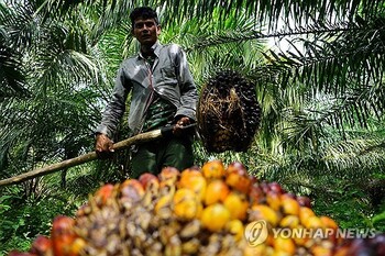 팜유 가격 마저 … 라면·과자 원가 압박에도 인상은 '언감생심'