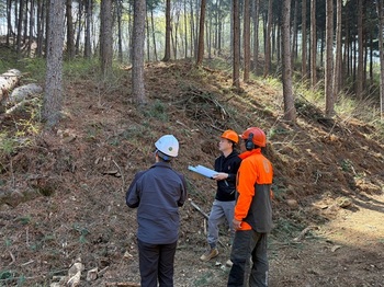북부지방산림청, 경기도 파주·연천 일대 소나무재선충병 방제사업장 현장점검 나서
