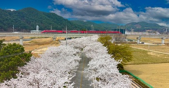 “여행은 머무는 것”···울진군, 체류형 관광지로 도약